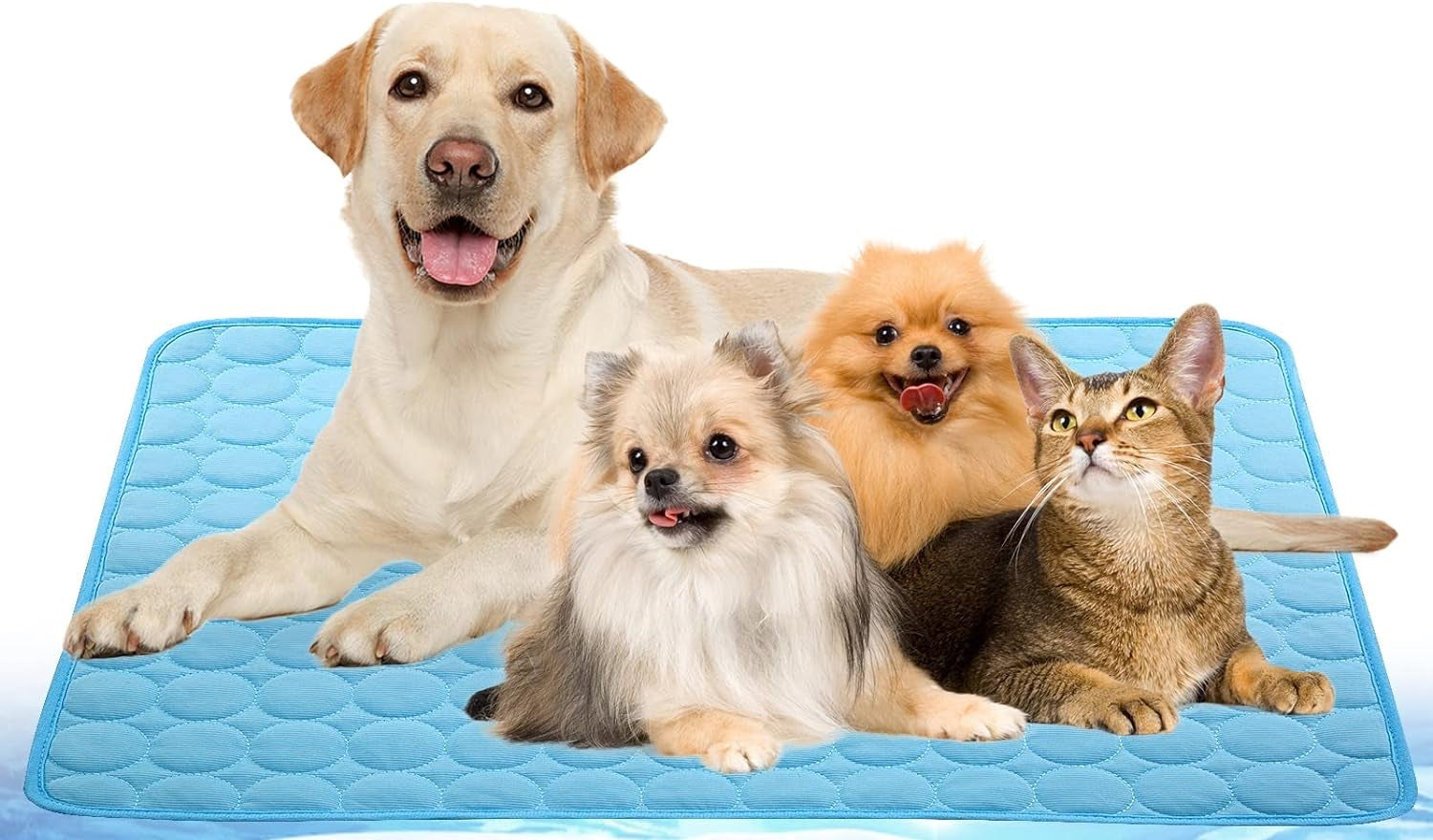 Dog Cooling Mat, Pet Cooling Pads for Dogs, Summer Cooling Bed for Cats, Portable Pet Cooling Cushion for Home or Outdoor